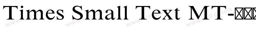 Times Small Text MT字体转换